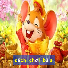 cách chơi bầu cua luôn ăn