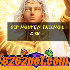 cặp nguyên thưởng là gì