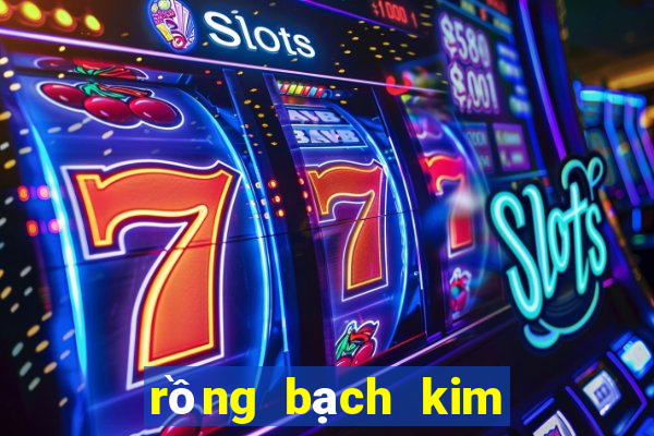 rồng bạch kim 666 hôm nay