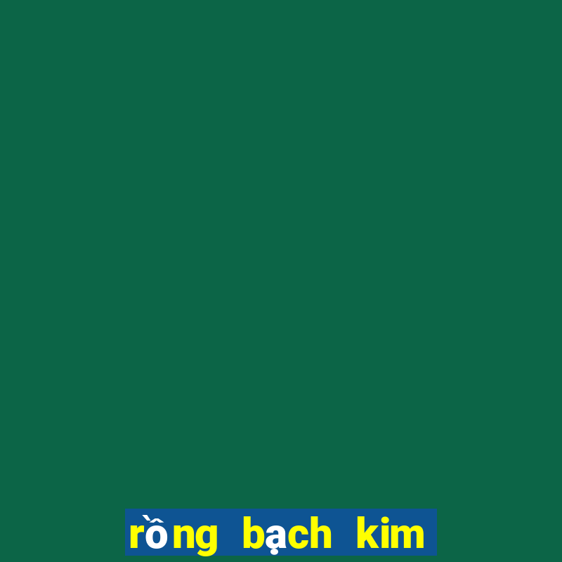 rồng bạch kim 666 hôm nay