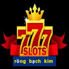 rồng bạch kim 666 hôm nay