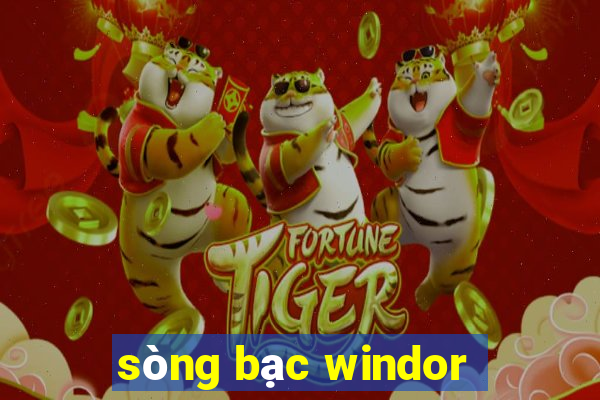 sòng bạc windor