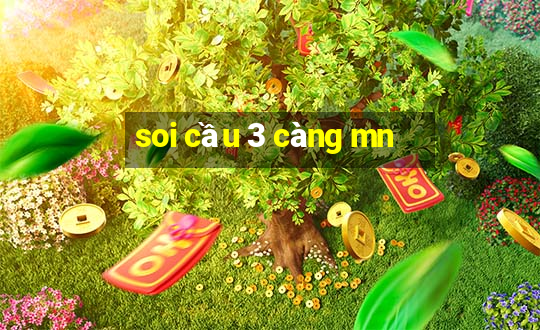 soi cầu 3 càng mn