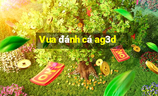 Vua đánh cá ag3d