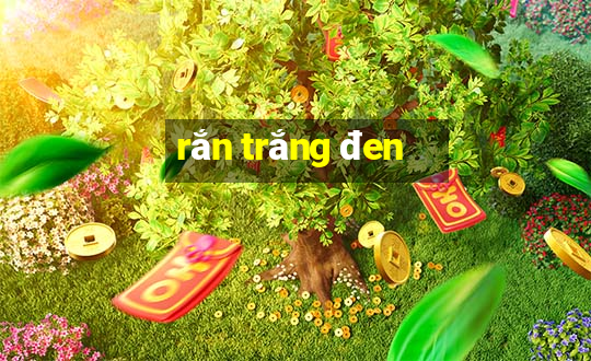 rắn trắng đen