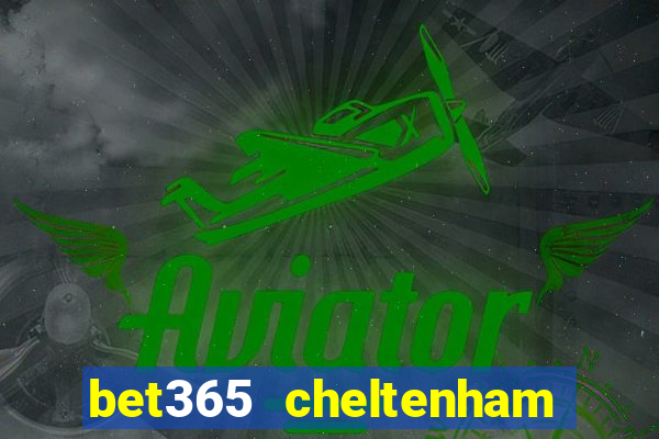 bet365 cheltenham bet offers