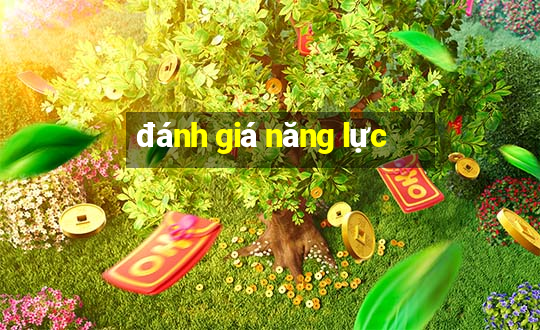 đánh giá năng lực