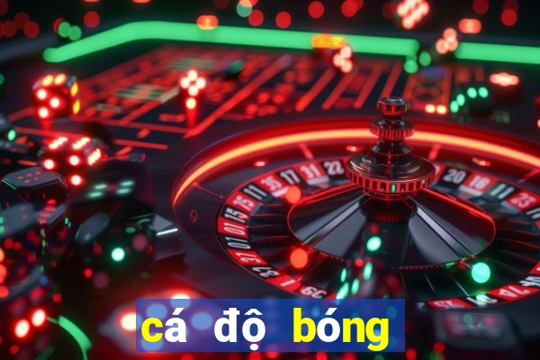 cá độ bóng đá hợp pháp