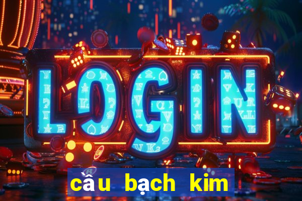 cầu bạch kim miền bắc