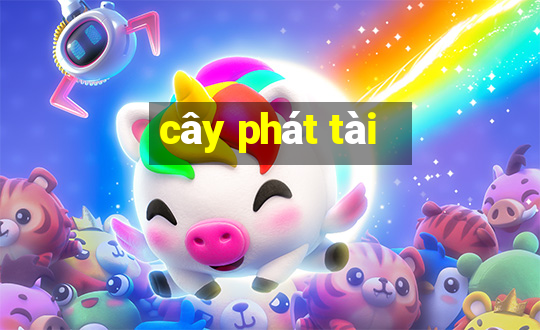 cây phát tài