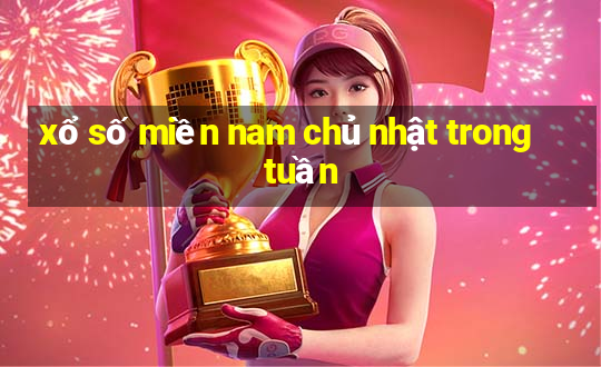 xổ số miền nam chủ nhật trong tuần