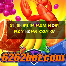 xổ số miền nam hôm nay đánh con gì