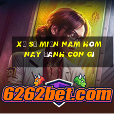 xổ số miền nam hôm nay đánh con gì