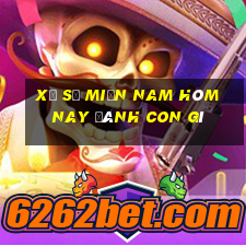 xổ số miền nam hôm nay đánh con gì