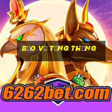 bảo vệ tổng thống