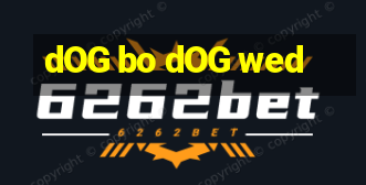 dOG bo dOG wed