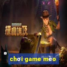 chơi game mèo