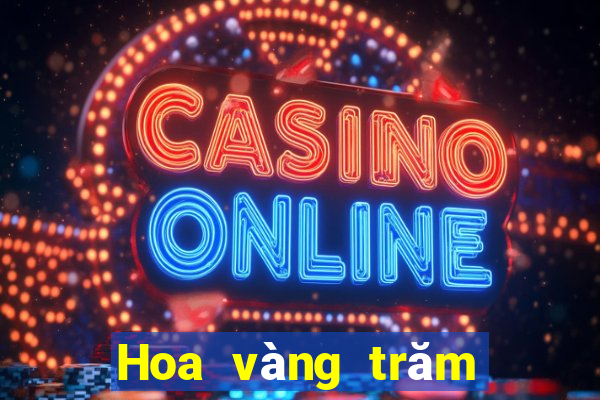 Hoa vàng trăm người ở Việt nam