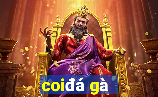 coi đá gà