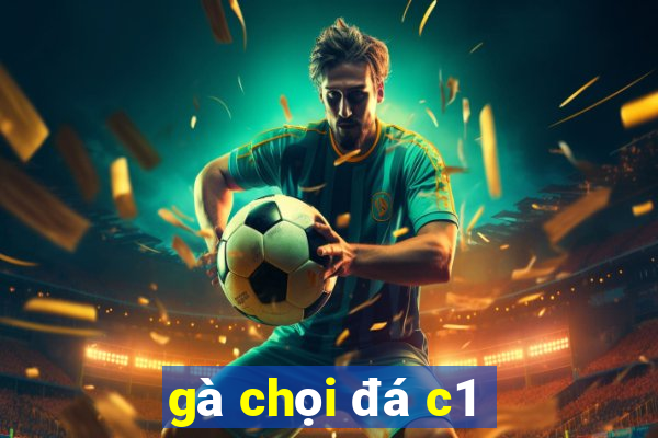 gà chọi đá c1