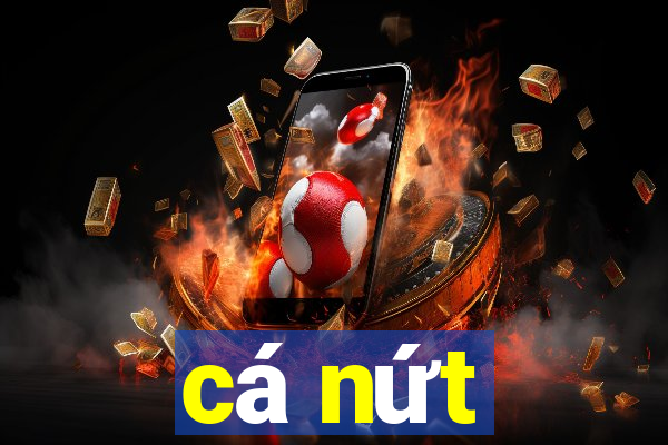 cá nứt