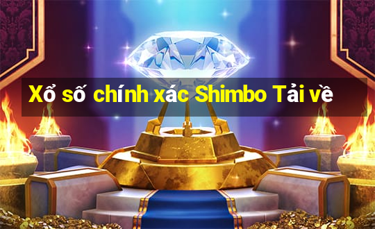 Xổ số chính xác Shimbo Tải về