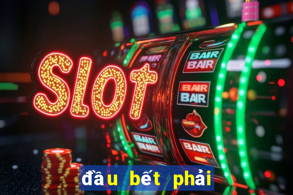 đầu bết phải làm sao