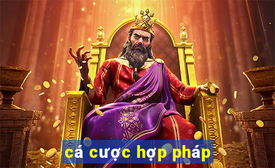 cá cược hợp pháp