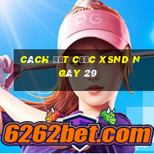 Cách đặt cược XSND ngày 29