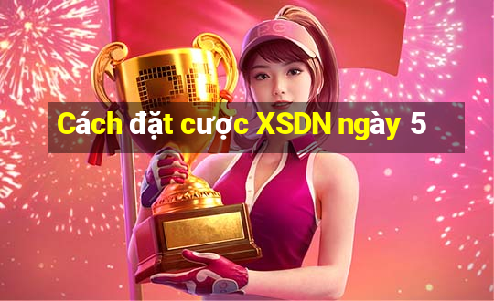 Cách đặt cược XSDN ngày 5