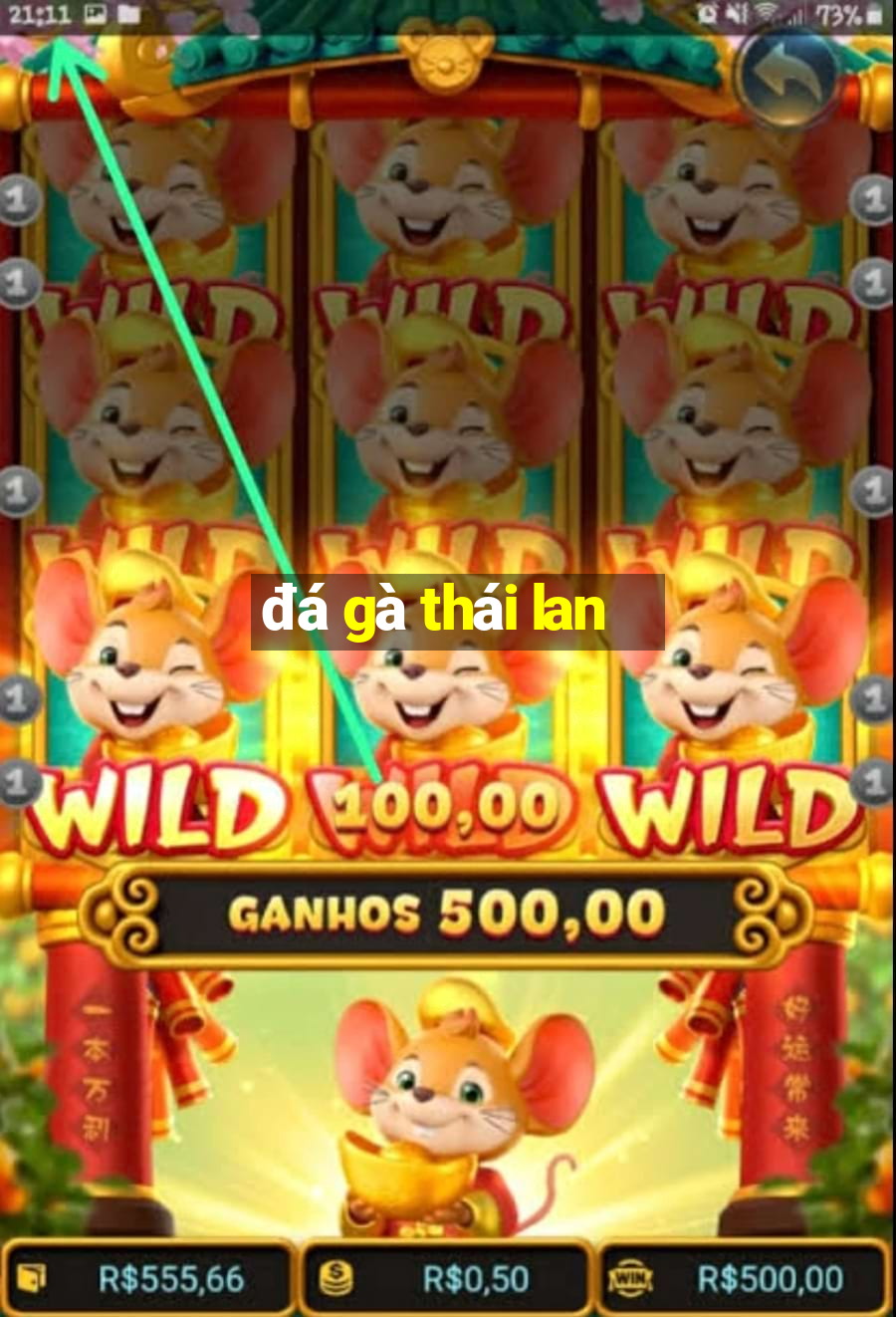 đá gà thái lan