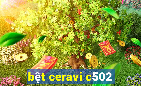 bệt ceravi c502