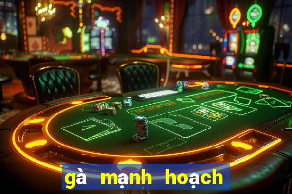 gà mạnh hoạch gần đây