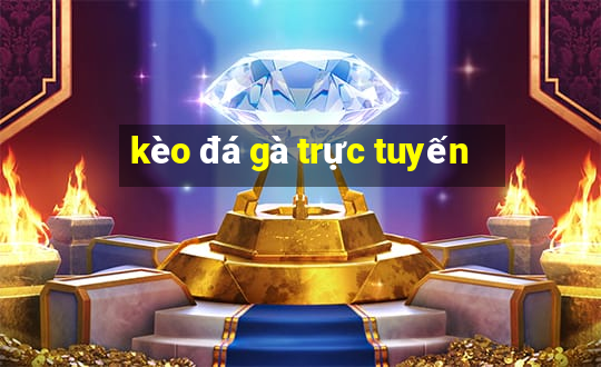 kèo đá gà trực tuyến