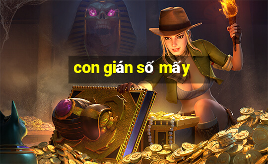 con gián số mấy