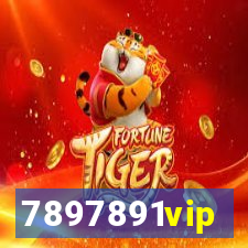 7897891vip