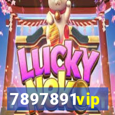 7897891vip