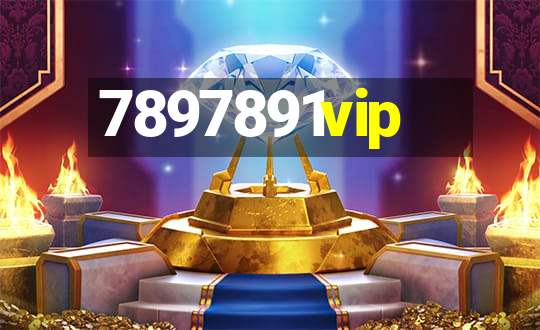 7897891vip