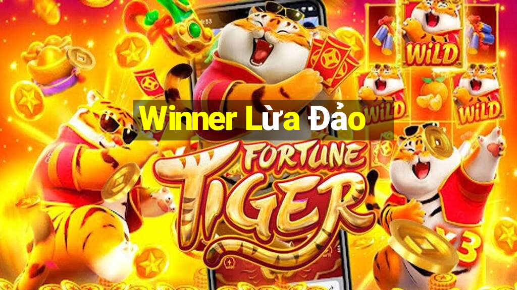 Winner Lừa Đảo