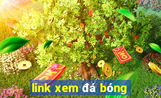 link xem đá bóng