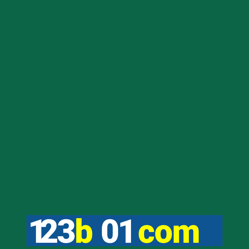 123b 01 com