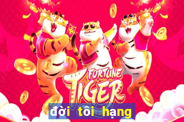 đời tôi hạng bét phim14