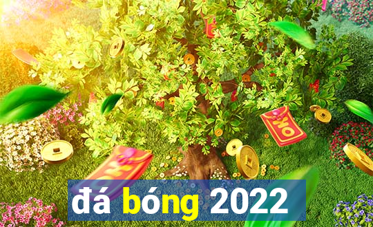 đá bóng 2022