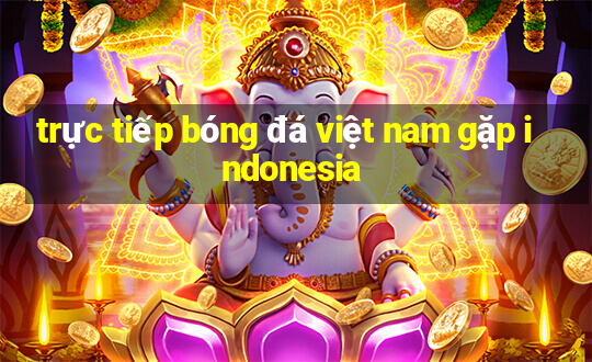 trực tiếp bóng đá việt nam gặp indonesia