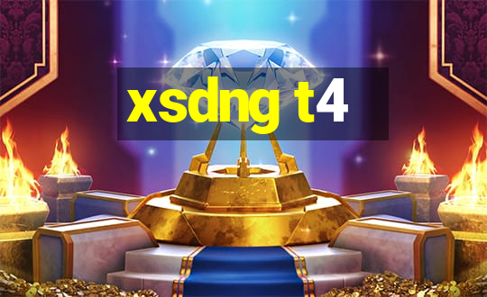 xsdng t4