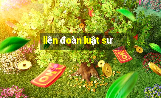 liên đoàn luật sư