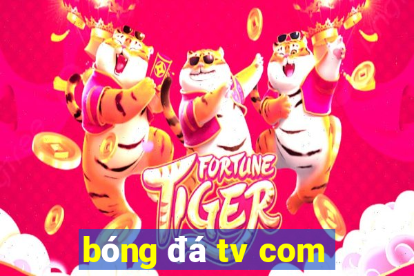 bóng đá tv com