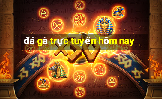 đá gà trực tuyến hôm nay