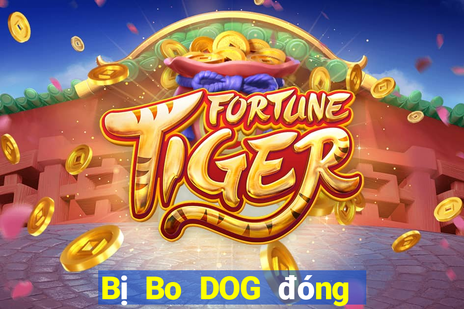 Bị Bo DOG đóng băng tài khoản