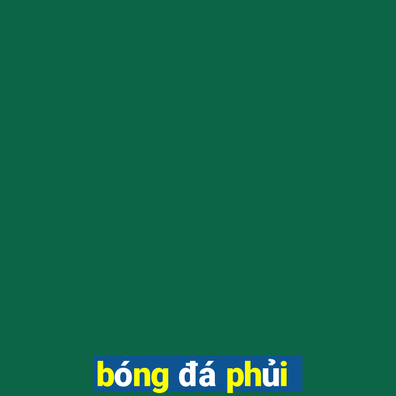 bóng đá phủi